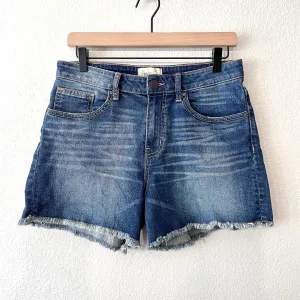 Raw Hem Jean Shorts