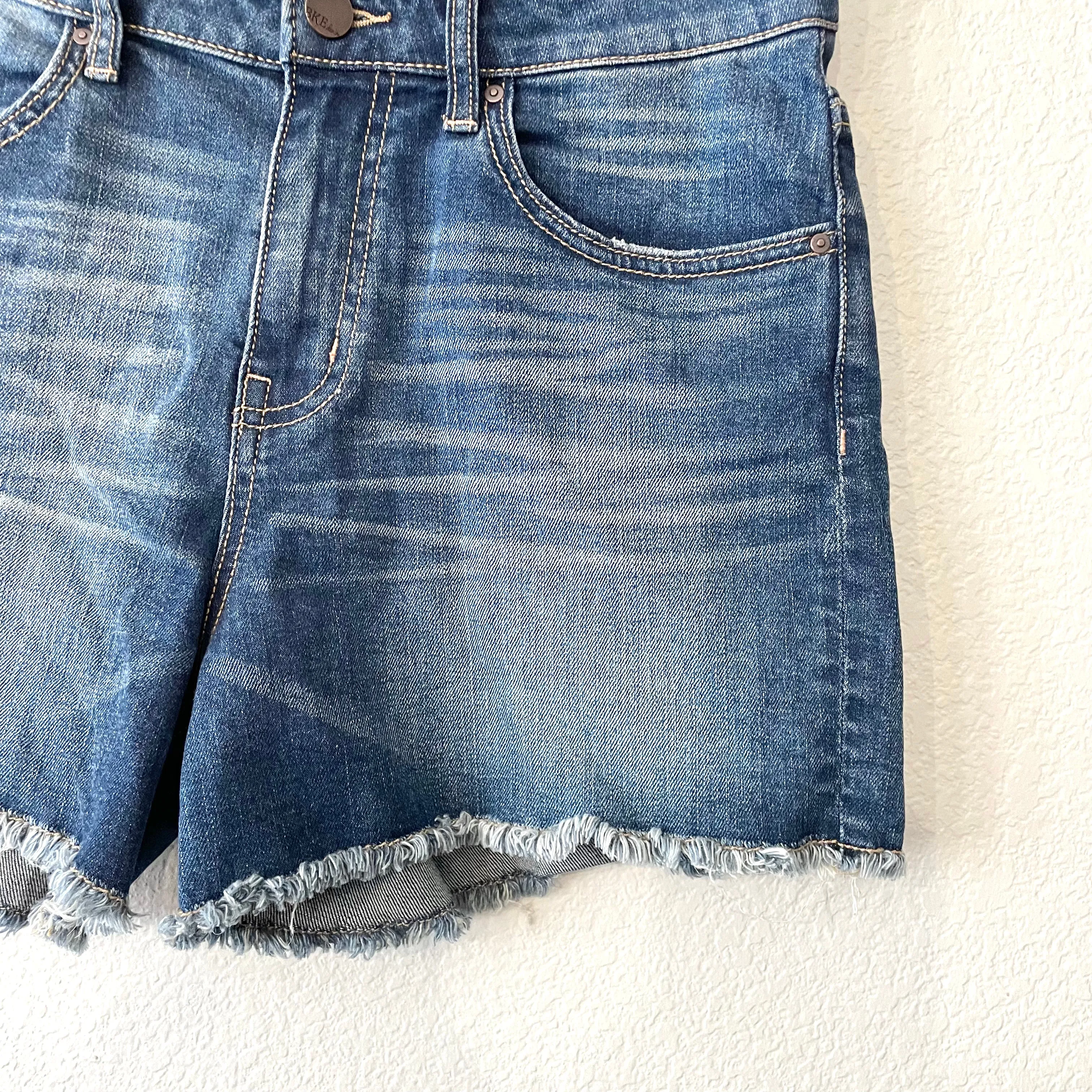 Raw Hem Jean Shorts