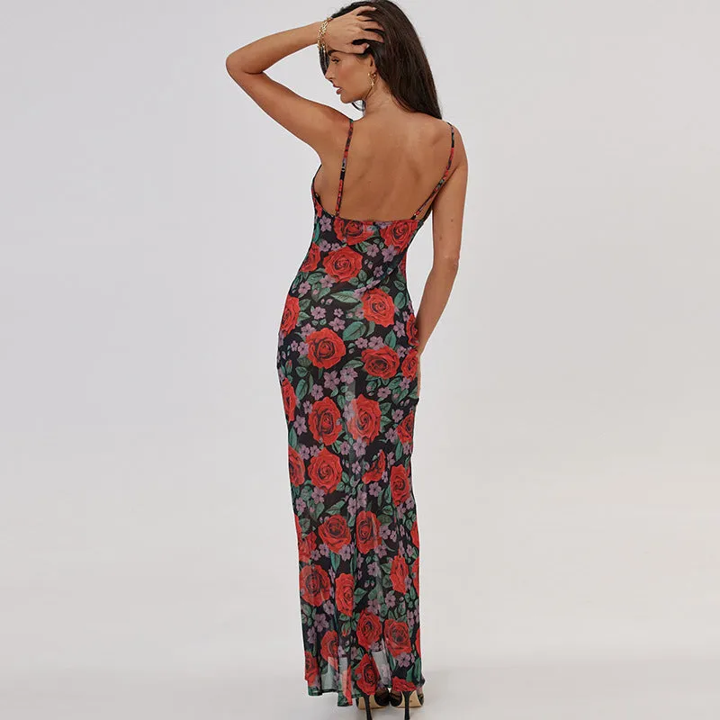Vvsha Laela Floral Print Mesh Maxi Dress